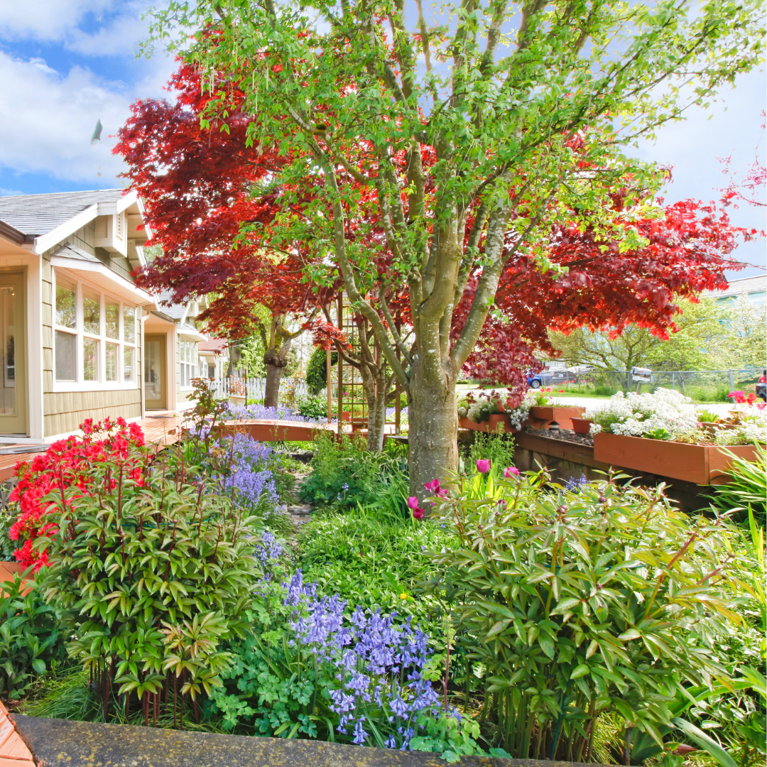 How to Improve the Curb Appeal & Value of Your Home